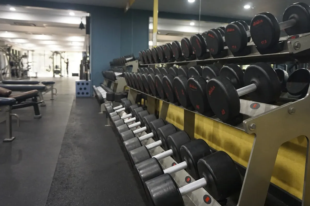 Dumbbell rack in a clean, well lit gym